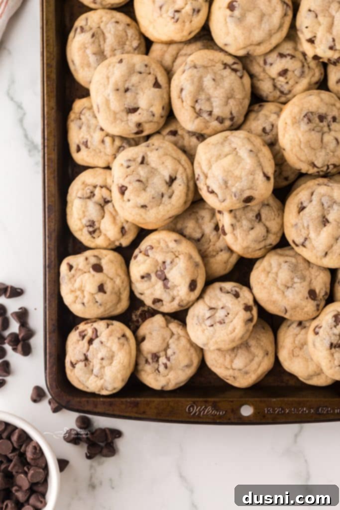 Tiny Chocolate Chip Delights 5 Several mini chocolate chip cookies arranged on parchment paper.