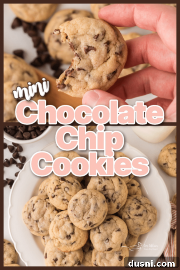 Tiny Chocolate Chip Delights 10 Freshly baked mini chocolate chip cookies on a baking sheet.