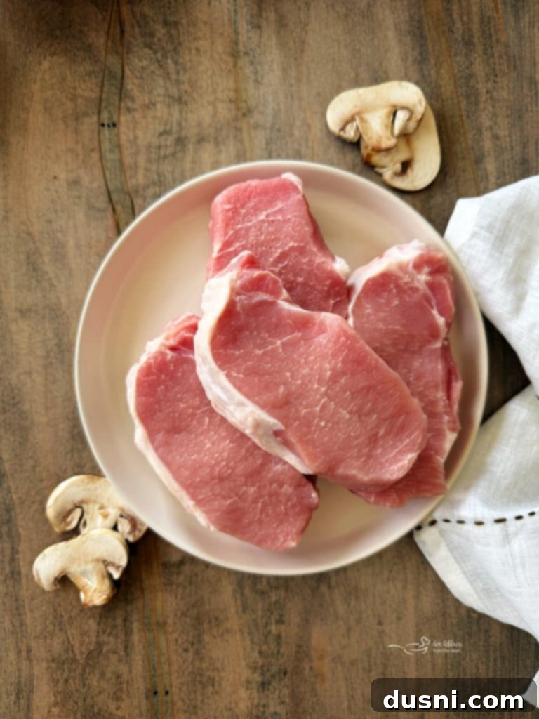 Close up of a serving of No Peek Pork Chops and Rice on a plate, garnished with fresh parsley.