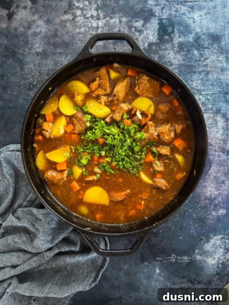 Hearty Pork Stew 13 A ladle serving a generous portion of hearty pork stew into a bowl.