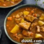 Hearty Pork Stew 21 Close up of Pork Stew in a bowl.