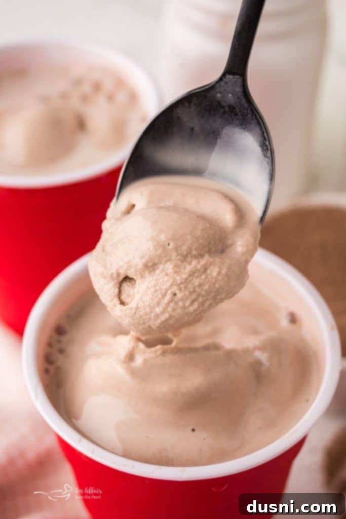 DIY Nesquik Chocolate Milk Mix 11 A spoon digging into a Copycat Wendy's Frosty.