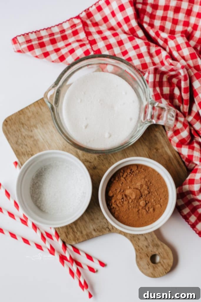 DIY Nesquik Chocolate Milk Mix 4 img 93967 3