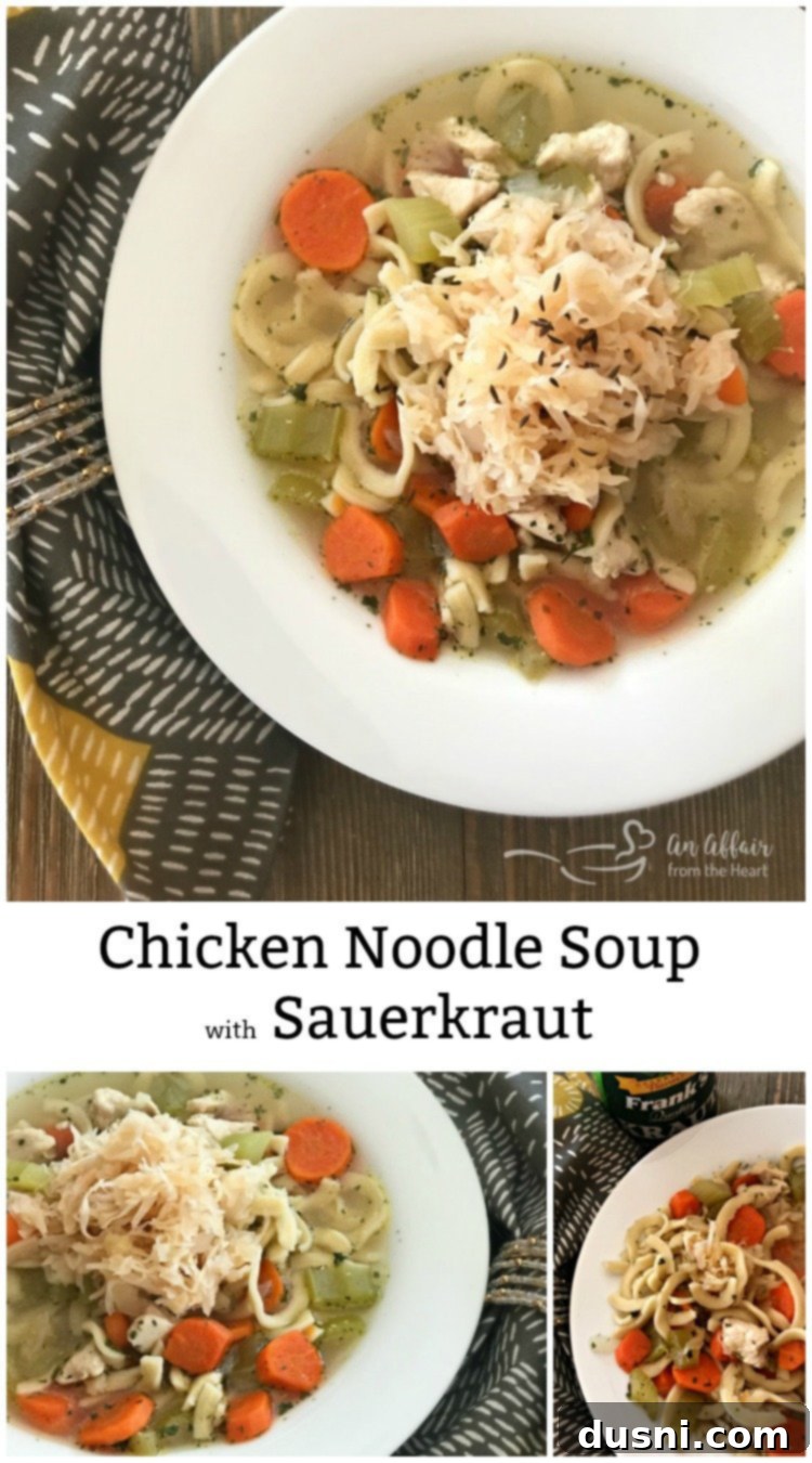 Chicken Noodle Soup with Sauerkraut - An Affair from the Heart