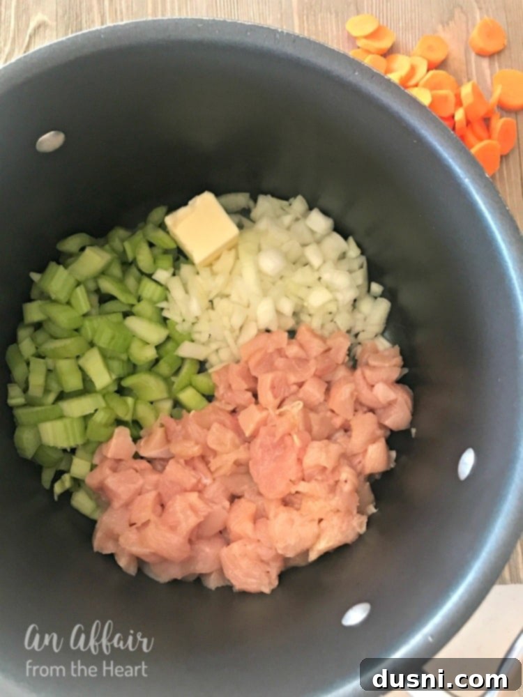 Chicken Noodle Soup with Sauerkraut