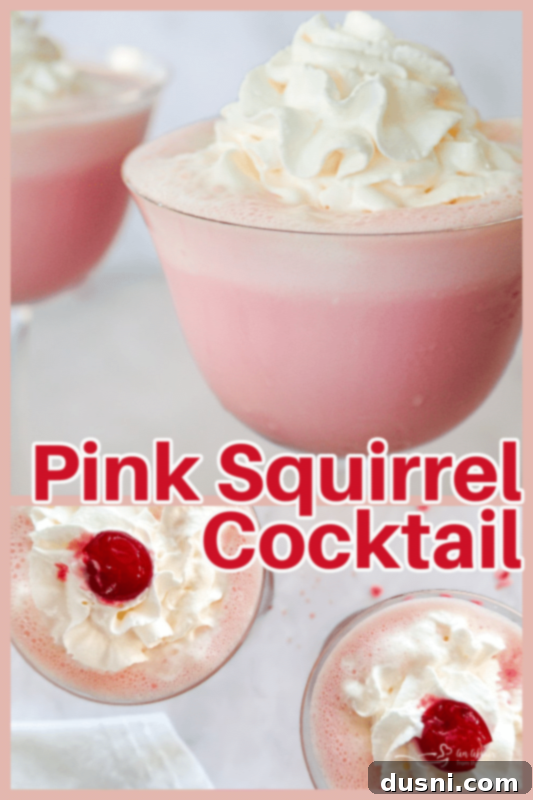 Velvet Almond Blush 12 Pinterest graphic for Pink Squirrel cocktail recipe.
