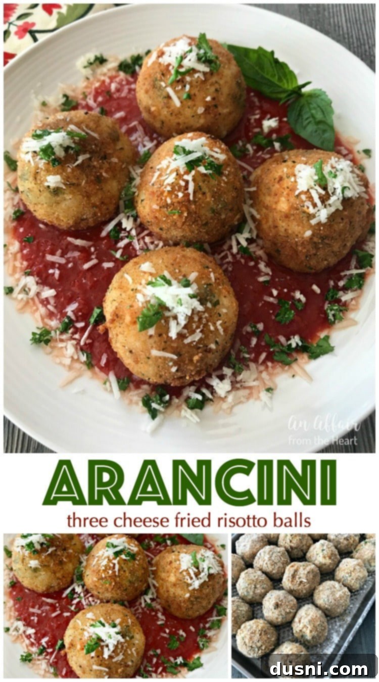 Arancini - Three Cheese Fried Risotto Balls plated with marinara and fresh parsley