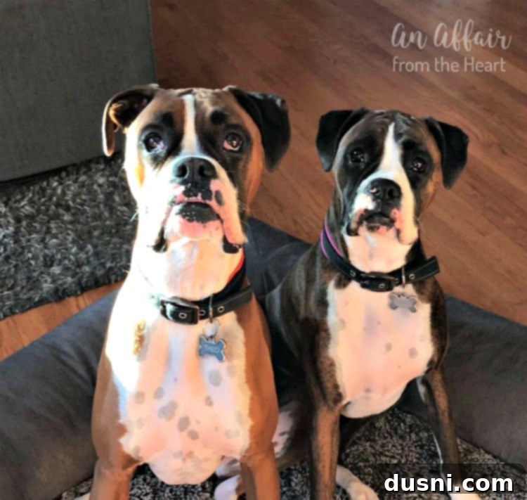 Sweet & Smoky Apricot BBQ Chicken 6 Apricot preserves and BBQ sauce, the dynamic duo for the glaze