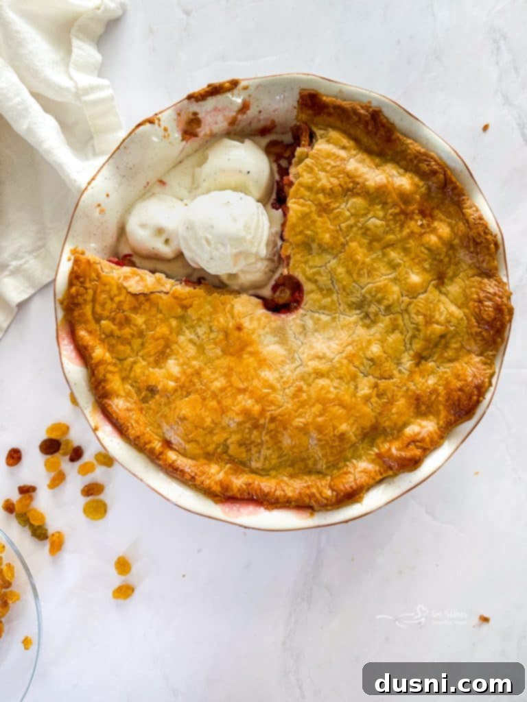 Golden brown Rhubarb Raisin Pie cooling after baking