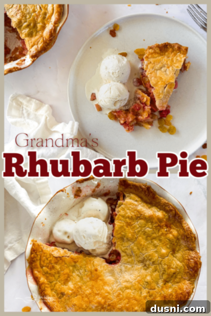 A beautifully baked Rhubarb Raisin Pie in a ceramic dish, ready to serve