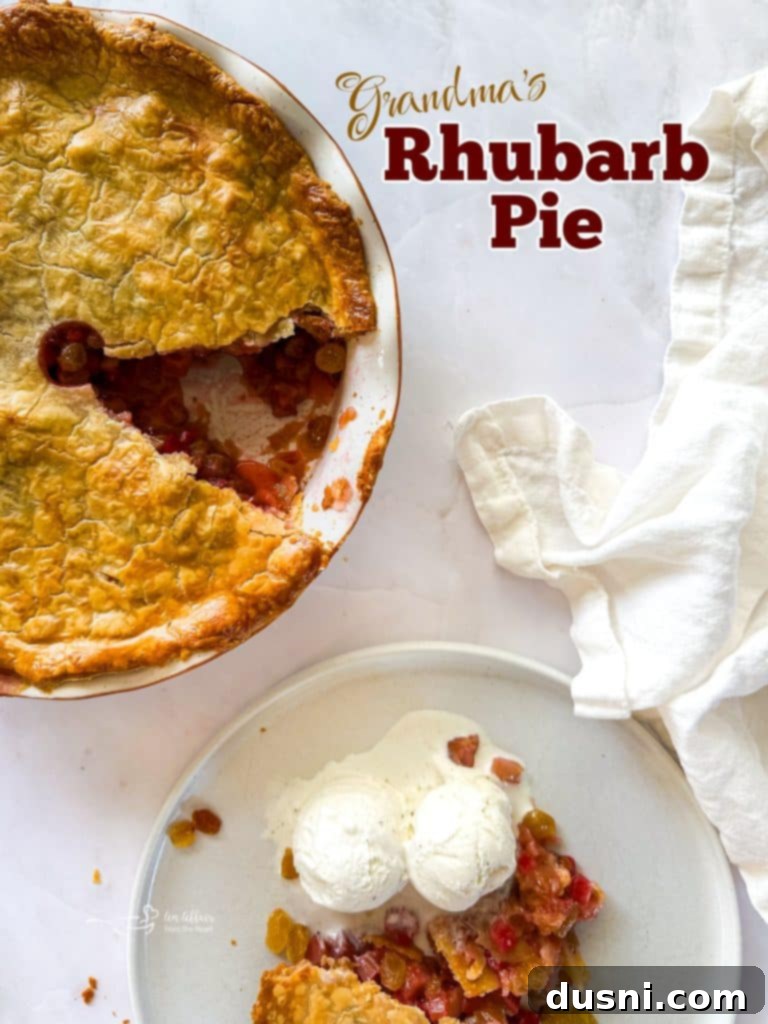 Hero shot of a freshly baked Rhubarb Raisin Pie, a slice removed