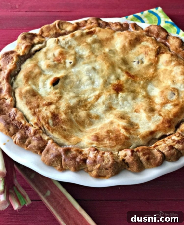 Grandma's Rhubarb Pie in a white pie dish