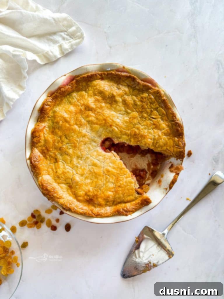 Freshly chopped rhubarb and golden raisins, ready for pie filling