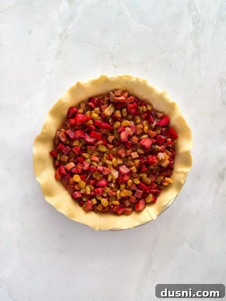 Mixing chopped rhubarb, sugar, flour, egg, and raisins in a large bowl