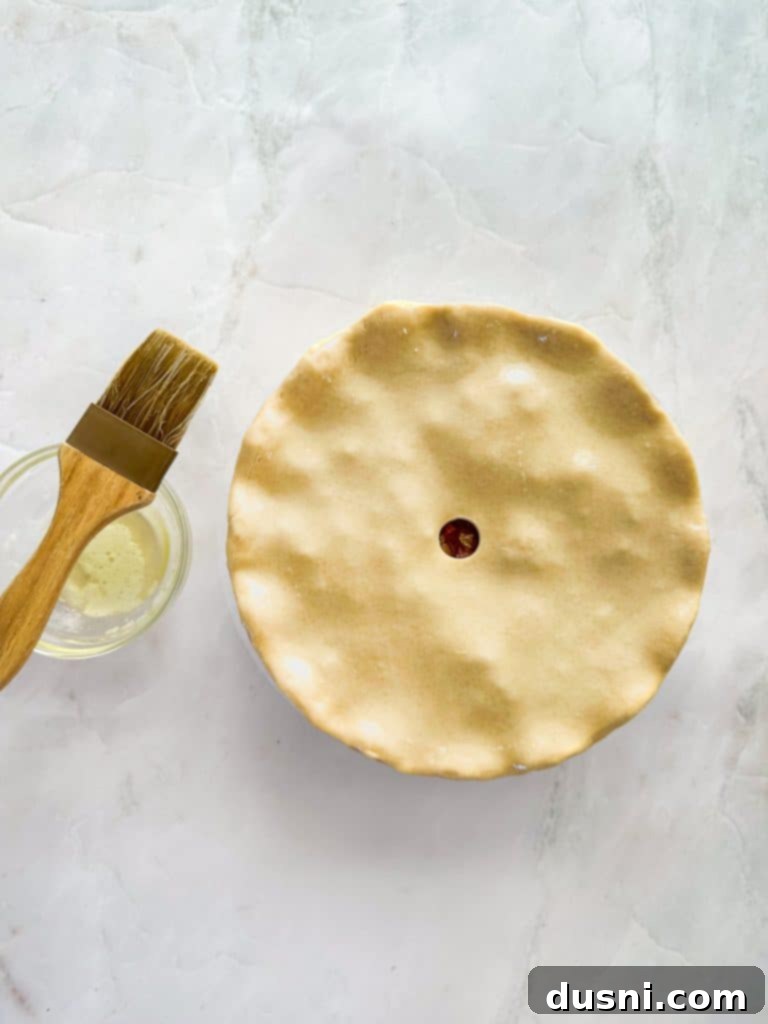 Rhubarb raisin pie filling poured into the bottom pie crust