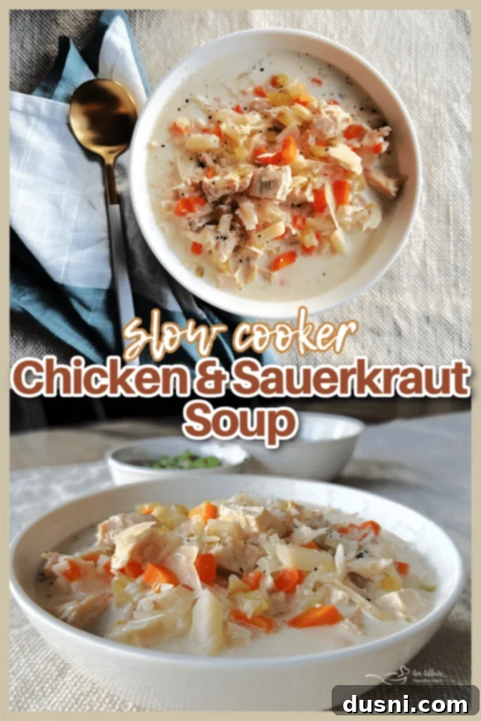 Storing Chicken Sauerkraut Soup
