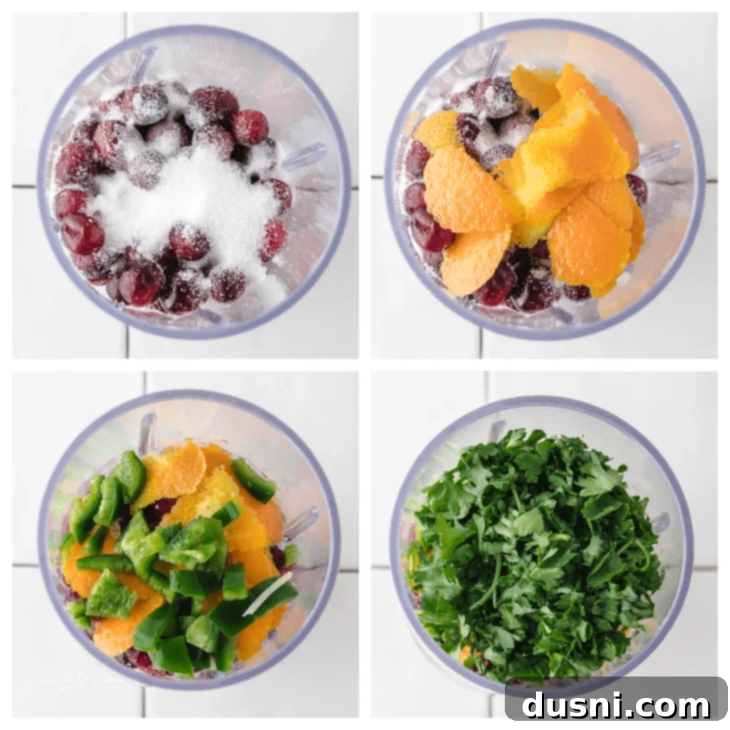 Blending Cranberry Dip Ingredients