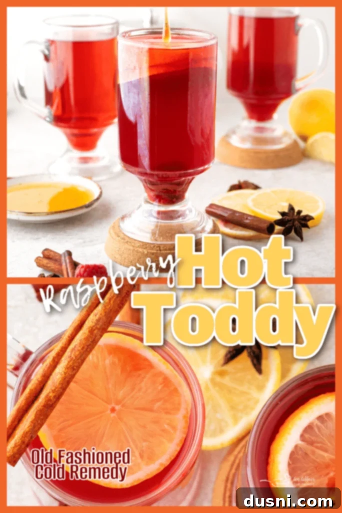 Raspberry Hot Toddy mocktail