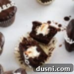 Homemade Hostess-Style Cupcakes 19 Homemade Hostess Cupcakes