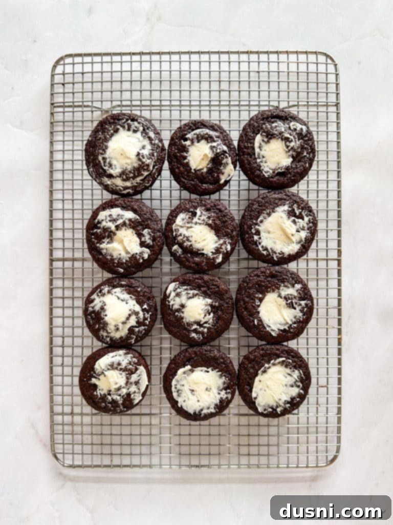 Homemade Hostess-Style Cupcakes 10 Filling Cupcakes